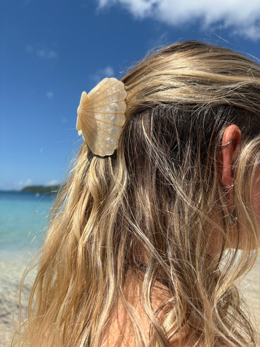 Sea Shell Claw Clip